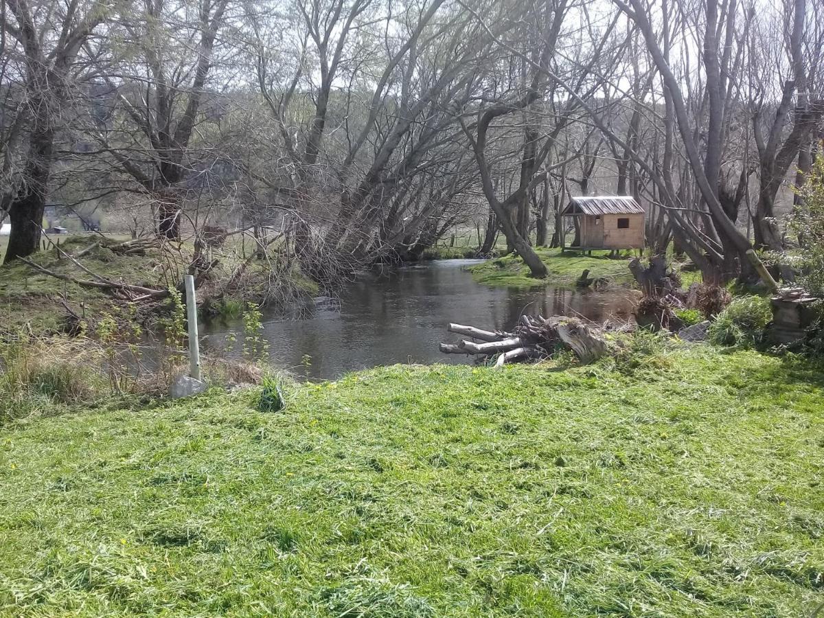 Cabana Con Costa De Arroyo San Martín de los Andes 外观 照片